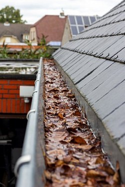 limpieza canalones vigo